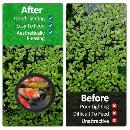 6PCS Aquarium Floating Plant Corral, Round Black EVA Fish Feeding Ring Set, Fish Tank Accessories for Mini Betta Tank, Floating Plants Holder|Feeder|Corral - style: 6 Round