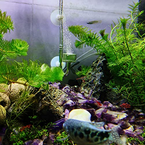 Boao 12 Pcs 32.8 ft Aquarium Co2 Proof Tubing Clear Airline Tubing Co2 Hose 5/16 Inch Suction Cups Aquarium Air Pump Accessories for Fish Tank