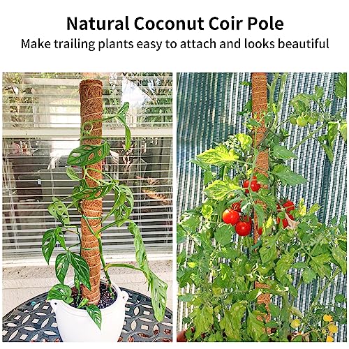 Moss Pole for Plants Monstera, 2 Pack 23.6 inch Plant Support Pole, Extendable Coir Totem Pole for Potted Plants Pothos,Train Indoor Climbing Plants to Grow Upwards - Extends to 40.6 Inches - size: 2 Pack 23.6 inch