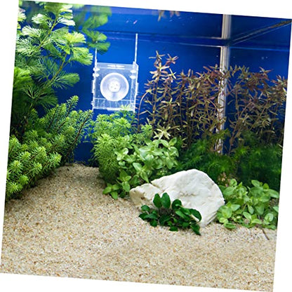 Isolation Box for Fish Transparent Breeding and Incubation Separator for Aquariums Easy to Clean and Store for Fish and Observation