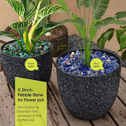 RIFNY Decorative Polished Rocks, 0.3" Gravel Rocks Crushed Crystal for Plant Flower Pots Succulents Cactus Bamboo Plant Vase Filler Aquarium Fish Tank Decorations and DIY Craft (1.5 LB, Green) | for Plant Flower Pots Succulents Cactus Plant Vase Filler Aq
