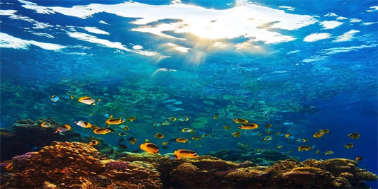 YongFoto Ocean Theme Fish Tank Reptile Habitat Background 24x12 inch | Seaweed Coral Reef Rock Seafloor Tropical Underwater Sea World Polyester Backdrop Terrarium Aquarium Background - color: Underwater 1, size: 24x12inches