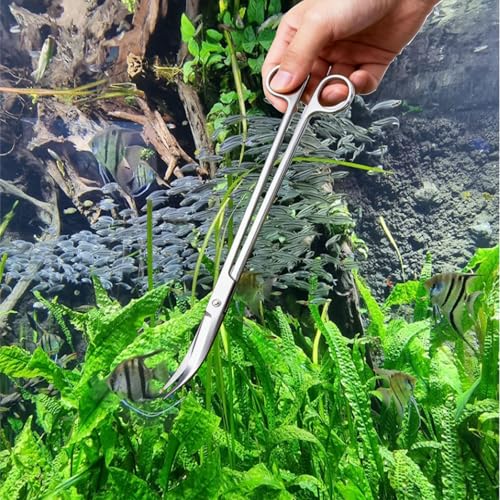 Aquarium Scissors, 13.8" Aquarium Scissors Extra Long,Stainless Steel Curved Scissors, Professional Aquarium Plant Scissors, Silver