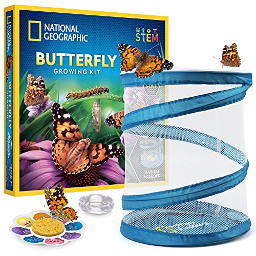 National Geographic Butterfly Growing Kit for Kids Nature Activity | Mesh Habitat, Voucher for 5 Live Caterpillars, Feeder Dish and Sponge, Metamorphosis Science, Outdoor Learning - style: Starter Butterfly Kit