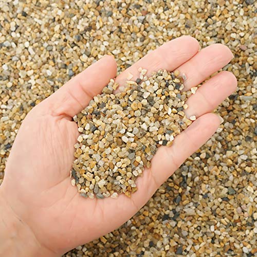 Coarse Sand Stone 1LB Decorative Rocks Sand Stone,Mix Coarse Sand for Plants,Soil Cover Bonsai,Succulent,Terrarium,Course,Garden,Cactus Sand, Aquarium, Fairy Garden, DIY. - size: 1 LB