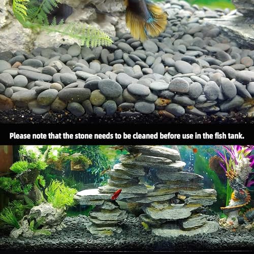 45LB River Rocks,Mexican Beach Pebbles for Plants,Potting,Garden Landscape Stone Paving Stone Grey 1Inch… - size: 45LB, style: Medium