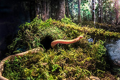 Galápagos (05346) Mossy Cave Hide, 4", Green (Pack of 6) - size: 4" (Pack of 6)