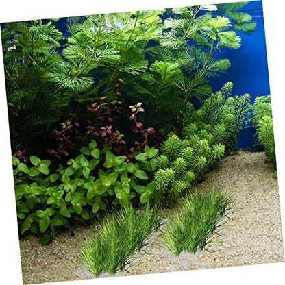 2pcs Aquatic Mesh Sturdy Mesh Pad Mesh Nets Aquarium Cleaners Aquarium Filter Pad Aquarium Mesh Pads Aquatic Wall Mesh Bendable Net Stainless Steel Plant Stand Multifunction - size: 20x10cm