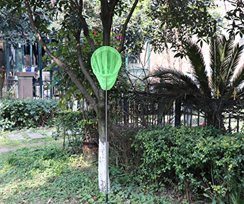 RESTCLOUD Bait Net and Fishing Landing Net with Telescoping Pole Handle Extends to 59 inches - color: Green