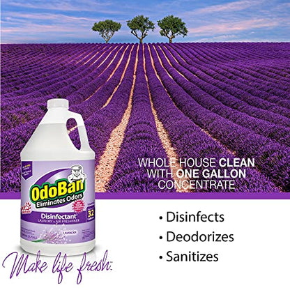 OdoBan Ready-to-Use Disinfectant and Harsh Aroma Eliminator, Set of 2, 14.6 Ounce 360-Degree Continuous Spray Fabric/Air Freshener and 1 Gallon Multi-Purpose Cleaning Concentrate, Lavender Scent - size: 71.3 Fl Oz (Pack of 2)