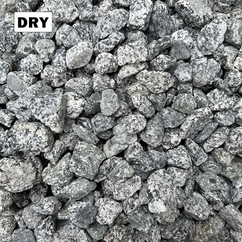 11 Pounds of Big Dalmatian Granite Stones 1" to 2" Size, Rocks Gravel Pebbles for Landscaping, Terrariums, Aquariums, Gardens, Pond Water Features, Flower Pots, Decorative Walkways, Bonsai, etc