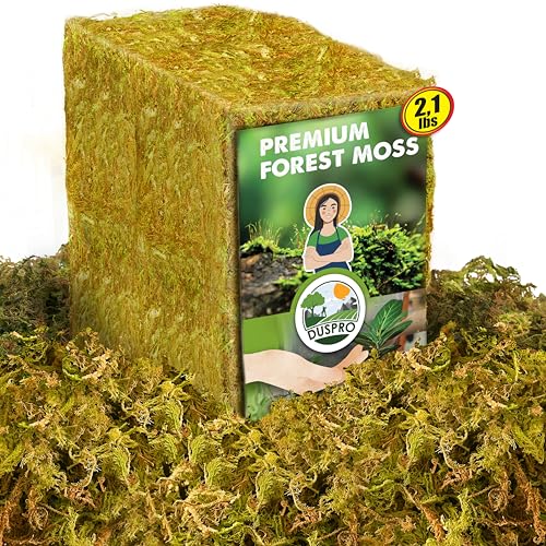 2.1 LBS Real Dried Forest Moss for Potted Plants, Plant Propagation | Hand-Picked & Clean, Easy to Rehydrate, Balanced Moisture, Forest Orchid Moss for Potting Mix,Moss Soil Cover for Houseplants - color: 2.1 LBS