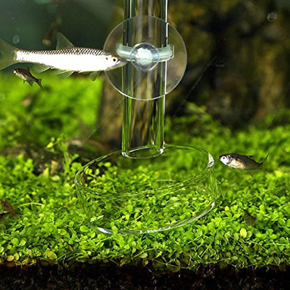 SGerste Shrimp Feeding Food Tube for Aquarium Fish Tank Length - 350mm