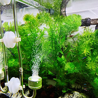 Boao 12 Pcs 32.8 ft Aquarium Co2 Proof Tubing Clear Airline Tubing Co2 Hose 5/16 Inch Suction Cups Aquarium Air Pump Accessories for Fish Tank