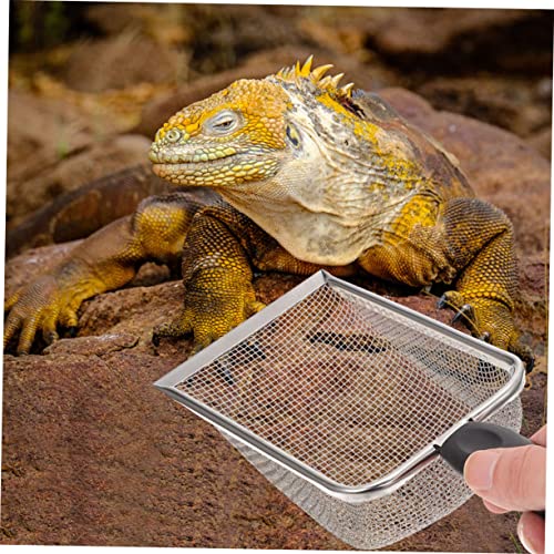 VANZACK 2pcs Stainless Steel Reptile Shovels for Convenient Litter Cleaning Substrate Tool for Tortoises Lizards Snakes and More Practical Accessory for Reptile Care