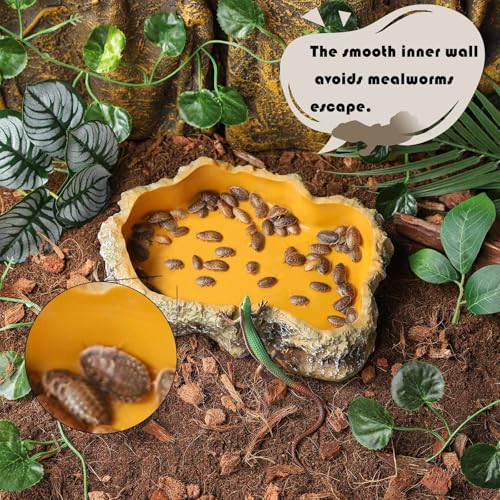 IBWell 7 Inch Reptile Food Dish Escape Proof Reptile Feeding Dish Resin Reptile Water Food Bowl for Bearded Dragon Chameleon Frog Snake Turtle Leopard Gecko - size: 7"