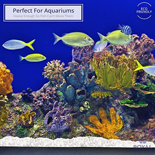 Royal Imports River Rocks, Aquarium Gravel – White 0.25" Gravel - 5 lbs | Decorative Ornamental Vase Filler Pebbles for Potted Plants, Terrariums, Vases, Succulents, Fish Tank Gravel, DIY & Crafting - size: 0.25" Gravel - 5 lbs, style: White