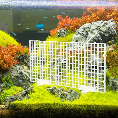 Aquarium Bottom Filter Board and Fish Tank Isolation Plate Set, Plastic Grid Divider 30x15cm with Suction Cups for Aquarium Separation and Breeding