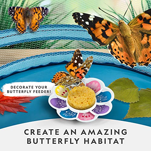 National Geographic Butterfly Growing Kit - Butterfly Habitat Kit with Voucher to Redeem 5 Caterpillars (S&H Not Included), Butterfly Cage, Feeder (Amazon Exclusive) - style: Starter Butterfly Kit