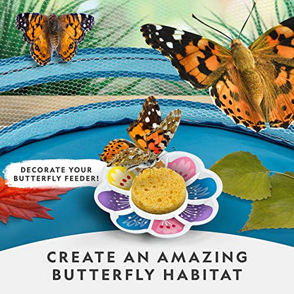 National Geographic Butterfly Growing Kit - Butterfly Habitat Kit with Voucher to Redeem 5 Caterpillars (S&H Not Included), Butterfly Cage, Feeder (Amazon Exclusive) - style: Starter Butterfly Kit