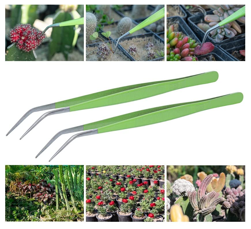 HADIZ Stainless Steel Garden Tweezer Two Piece Set with Curved Tip Tweezers for Cactus and Succulents Gardening(Curved)