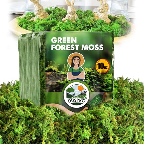 Green Forest Moss for Crafts, Real Dried Decorative Moss, 10 oz | Indoor Planter Soil Cover, Table Centerpieces, Wedding, Easter & Christmas Decor, DIY Projects - color: 10 Oz
