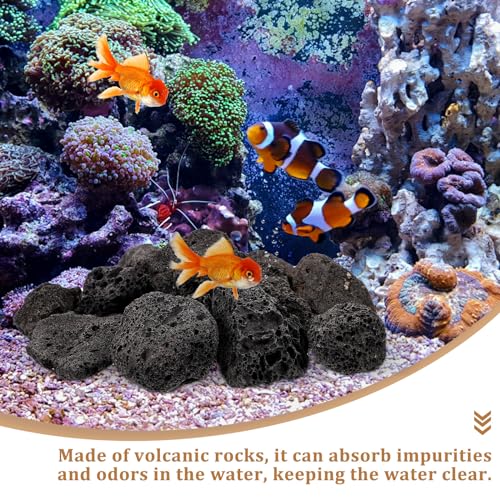 FOMIYES 1 Pack of Natural for Aquariums and Potted Plants, Small Volcanic Stones for Decorative Use, Ideal for Landscaping and Drainage
