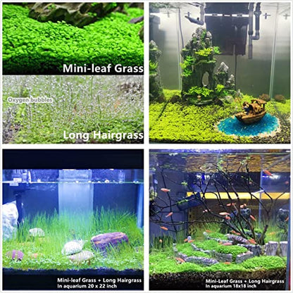 Aquarium Plant S.e,e,ds. not Fish Tank Aritificial Plastic Plant,10gram Mini-Leaf+8grame Long Hair Grass Fresh Water Carpet Decor
