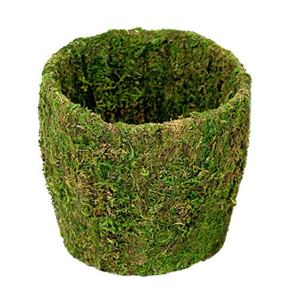 SuperMoss (55112 Creekside, Fresh Green, Medium for Indoor and Outdoor Usage - size: Medium