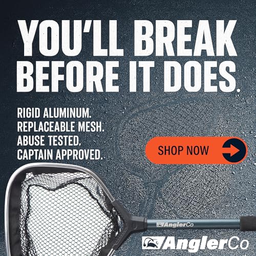 Core Series Bait Net, 12" Handle, 8" Hoop, Aluminum Frame with EVA Grip