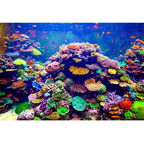 Yeele 8x4ft Undersea World Backdrop Aquarium Colorful Corals Tropical Fish Underwater Fish Tank Photography Background for Mermaid Theme Birthday Party Decor Aquarium Decoration - size: 8x4ft