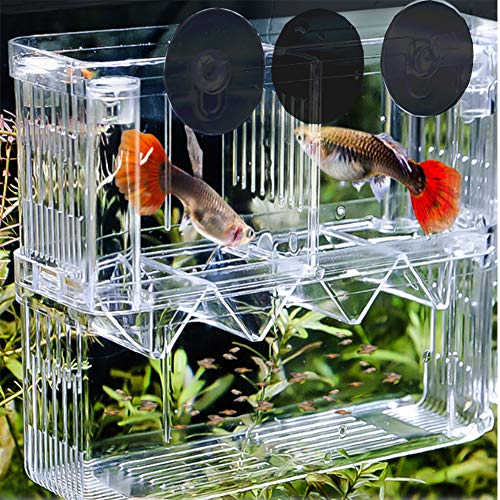 Acrylic Floating Fish Hatchery, Double Layer Fry Hatching Incubator Breeder Box for Aquarium Tank, Safe House for Fish Parenting