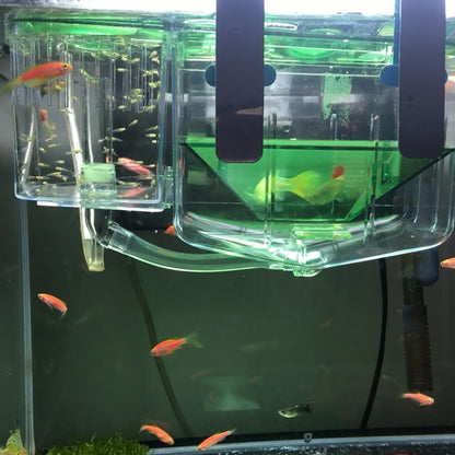 BESPORTBLE Transparent Acrylic Fish Breeding Box Aquarium Isolation Tank for Protecting and Fish Prevents from Adults Suitable for Shrimp and Small Specimens Self Guided with Separate
