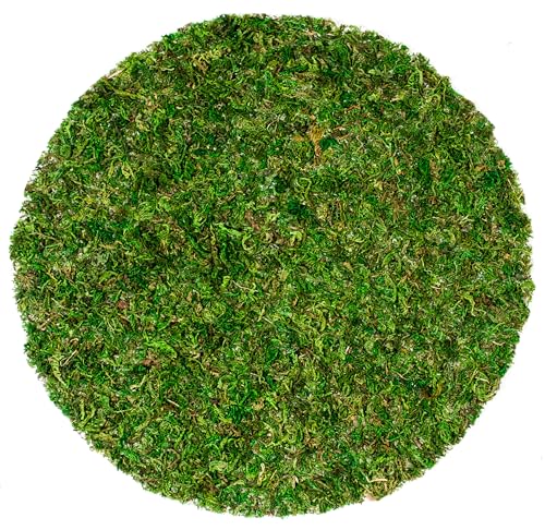 SuperMoss (26320) Moss Soil Toppers (Place Mats), Fresh Green, 14" (3 units) - color: Fresh Green, size: 14" (3 units)