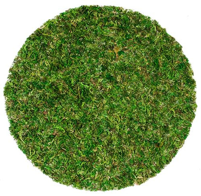 SuperMoss (26320) Moss Soil Toppers (Place Mats), Fresh Green, 14" (3 units) - color: Fresh Green, size: 14" (3 units)