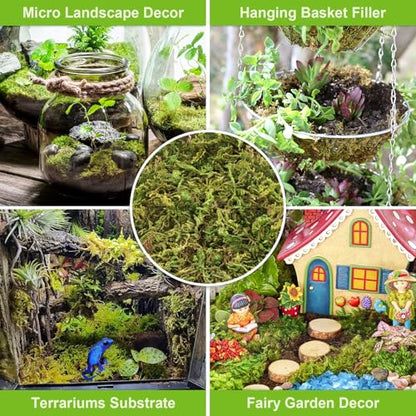 1.3LB Sphagnum Moss for Plants, 25QT Natural Long Fiber Orchid Moss | Drainage & Moisture Retention, Green Plant Moss for Orchid Repotting, Carnivorous, Succulents, Reptile Bedding & Terrariums - size: 1.3LB