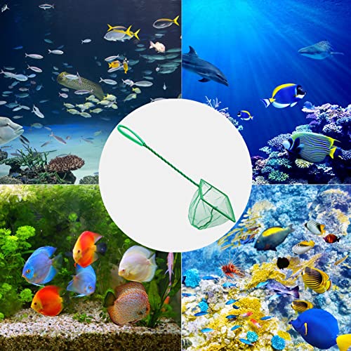 5 Pack Aquarium Fish Net, Multi-Size Fine Quick Fish Catch Nets Nylon Fishing Mesh Nets with Long Plastic Handle for Fish Tank - Green (3in, 4in, 5in, 6in, 6in)