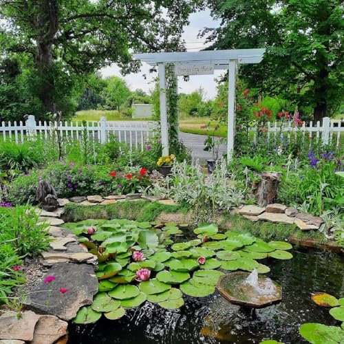 PondH2o 9" Square Aquatic Plastic Slotted Mesh Pond Plant Pot or Flower Water Garden Plant Baskets | Large Pond Plant or Flower Planter Pots for Aquaponics, Hydroponics Value 6 Pack