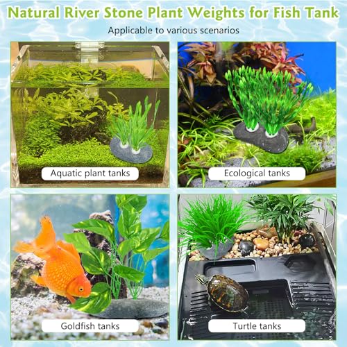 Hamiledyi Drilled Pebble Aquatic Plant Anchors Water Plants Fixed Ring Natural River Stone Plant Weights for Fish Tank Aquarium Decorations Landscape Stones(Aperture: 0.8" 2holes 6pcs)