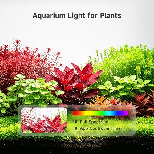 M1 5.3 Gallon Smart Fish Tank, App-Controlled Betta Aquarium Starter Kit | Integrated Lid with Auto Feeder, Full Spectrum LED, Temp Display, Dual Filtration, Quiet Pump for Desktop, White - color: White