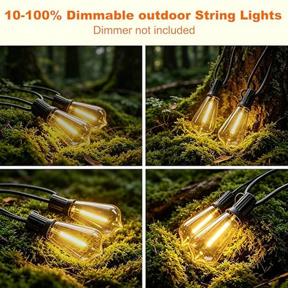25FT Outdoor String Lights, IP45 Waterproof Patio Lights LED ST38 - size: 25FT(10 Bulbs)