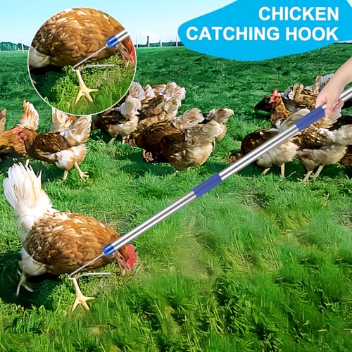 Chicken Catching Net ,Extendable from 33" to 75" Chicken Catcher Leg Hook | Animal Net, Made of Stainless Steel Tube, Suitable for Catching Duck, Goose, Skunk, Bat and, Bird Net & Fish Net