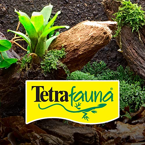 TetraFauna ReptoGuard Turtle Health Water Conditioner 1 Count, Slow-Release (Pack of 2) - size: 1-Count (Pack of 2)