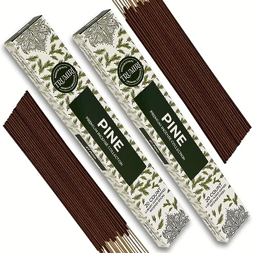 Pine Incense Sticks - Total 40 Insence-Sticks - Dual Pack of 20 Insense - Inciensos - Inscents - Natural Non Toxic Ingredients - Incents - Incence - Inscense - Insents - color: Pine, size: Pack of 2 (40 Sticks)