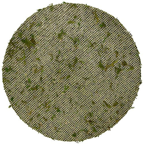 SuperMoss (26300) Moss Soil Toppers, Fresh Green, 6" (3 Units) - color: Fresh Green, size: 6" (3 units)