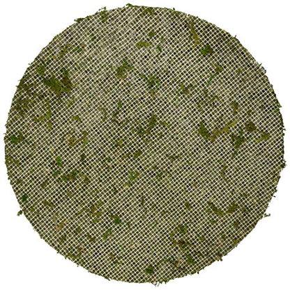 SuperMoss (26331) Moss Soil Toppers (Place Mats), Fresh Green, 24" (1 unit) - color: Fresh Green, size: 24" (1 unit)