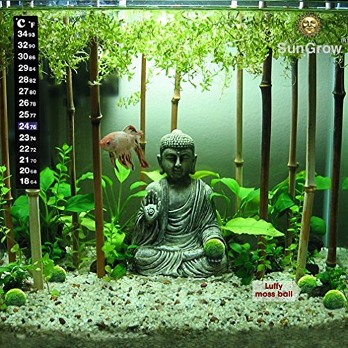 SunGrow Betta Fish Tank Thermometer Stick On, Aquarium Temperature Sticker Strip, 5.2 x 0.7 Inches, Green & Blue Temperature Indicator, Amphibian and Reptile Thermometer Sticker, Black, 1 Pc - size: 1 Pc Thermometers