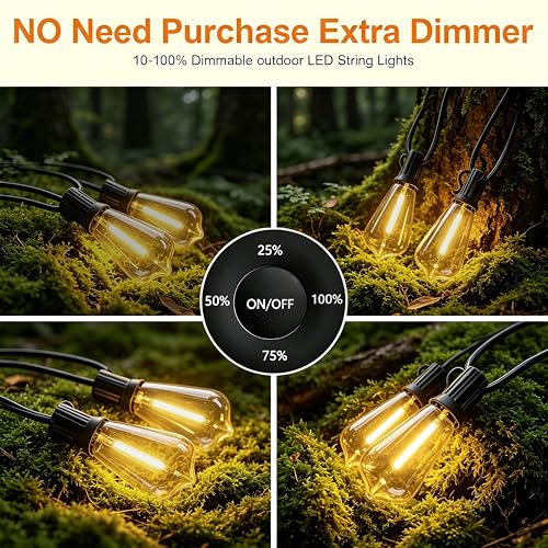 100FT Remote Outdoor String Lights for Outside, 50+2 LED Waterproof Shatterproof Edison Dimmable Timer Bulbs, 2500K Warm White Patio Lights for Garden Backyard Yard Hanging Lighting - size: 100FT