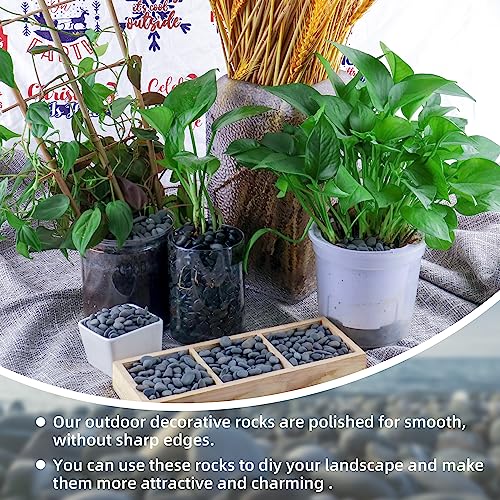 2.4lb River Rocks Pebbles for Plants & Succulents, Decorative Outdoor Landscaping & Aquarium Garden Rocks - size: 2.4LB, style: Small