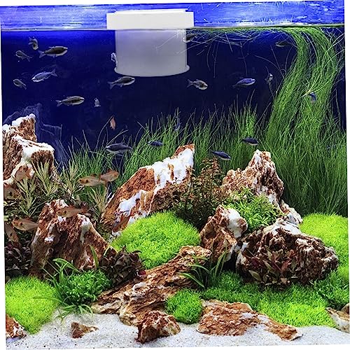 Kisangel Floating Fish Isolation Box Acrylic Breeding Tank for Small Fish Durable and Reliable Aquarium Divider Design for Easy Observation and Fry Care - color: Transparent